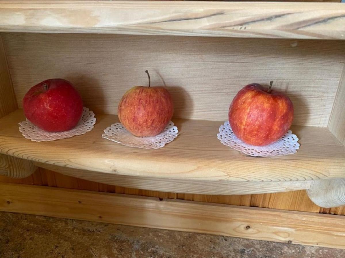 Alpenappartements Schwalbennestl Mittenwald Esterno foto